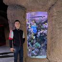  ,   Paxanov, 31 ,   ,   