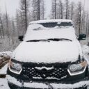 ���������� �����������, ���� ������� �������, 44 ����, ������������ ��� c�������� ���������