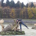  ,   , 44 ,   ,   , c 