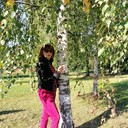  ,   , 66 ,  