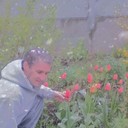 ���������� �����������, ���� ������� ��������, 44 ����, ������������ ��� ����� � ���������, c�������� ���������