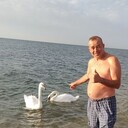  ,   , 55 ,   ,   , 
