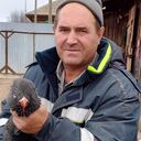 ���������� ��������, ���� ������� �������, 51 ���, ������������ ��� ������, ����� � ���������