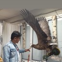 ���������� ��������, ���� ������� ����, 37 ���, ������������ ��� ������, ����� � ���������, c�������� ���������