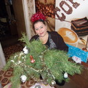  --,   , 51 ,   ,   , c 