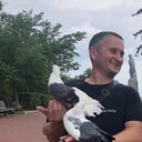 ���������� ��������������, ���� ������� �������, 45 ���, ������������ ��� c�������� ���������