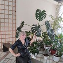  ,   , 55 ,  