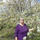 ���������� ������, ���� ������� ������, 71 ���, ������������ ��� c�������� ���������