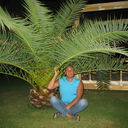 ���������� ������, ���� ������� ����, 50 ���, ������������ ��� ������