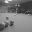 ���������� ������, ���� ����� ����, 24 ����, ������������ ��� ������, ����� � ���������, c�������� ���������