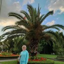   ,   , 48 ,   c 
