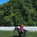 ���������� ����, ���� ����� ����, 24 ����, ������������ ��� ������, ����� � ���������