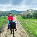 ���������� ���������, ���� ������� Alexander, 29 ���, ������������ ��� ������, ����� � ���������