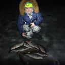 ���������� ������, ���� ������� ������, 44 ����, ������������ ��� ������, ����� � ���������, c�������� ���������