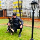 ���������� ����, ���� ������� �������, 38 ���, ������������ ��� ������, ����� � ���������