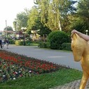 ���������� ��������, ���� ������� ������, 37 ���, ������������ ��� ������, ����� � ���������