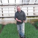 ���������� �����, ���� ������� �����, 56 ���, ������������ ��� ����� � ���������, c�������� ���������