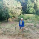  ,   , 56 ,  