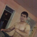  ,   PitBul, 37 ,   ,   , c , 