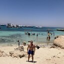 ���������� �����������, ���� ������� ������, 44 ����, ������������ ��� ������, ����� � ���������, c�������� ���������, ���������