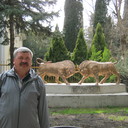 ,   , 65 ,   