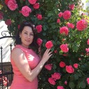 ���������� �����������, ���� ������� ����, 43 ����, ������������ 