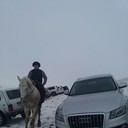 ���������� ������, ���� ������� ��773419419, 41 ���, ������������ ��� ������, ����� � ���������, c�������� ���������