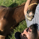 ���������� ���������, ���� ������� �����, 40 ���, ������������ ��� ������, ����� � ���������, c�������� ���������, ���������