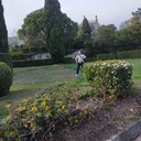  ,   , 36 ,   ,   , c , 