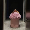 ���������� ����, ���� ������� Alisa, 27 ���, ������������ 