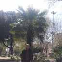  ,   Aper, 46 ,   ,   , c 