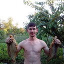  ,   , 39 ,     , c 