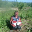  ,   , 44 ,   ,   , c 