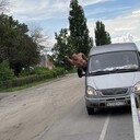 ���������� �������, ���� ������� ���������, 36 ���, ������������ ��� ������, ����� � ���������, c�������� ���������, ���������