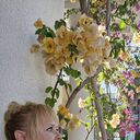 ���������� �������, ���� ������� ��������, 55 ���, ������������ ��� ������, ����� � ���������