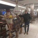  ,   , 38 ,   ,   