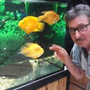  ,   , 65 ,     , c 