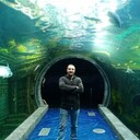 ���������� ������, ���� ������� �����, 36 ���, ������������ ��� ����� � ���������, c�������� ���������, ���������