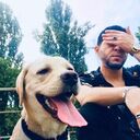  Camovce,   , 30 ,   ,   
