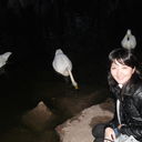 ���������� ���������, ���� ������� �����, 38 ���, ������������ ��� ������, ����� � ���������, c�������� ���������