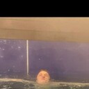 ���������� ���������, ���� ������� ������, 27 ���, ������������ ��� ������, ����� � ���������, c�������� ���������