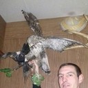   ,   , 38 ,   ,   , c 