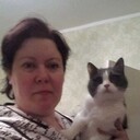 ���������� ������, ���� ������� ������, 48 ���, ������������ ��� c�������� ���������