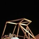 ���������� ���������, ���� ������� ���������, 30 ���, ������������ ��� c�������� ���������, ���������