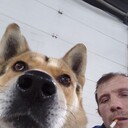 ���������� ������, ���� ������� ������, 43 ����, ������������ ��� ������, ����� � ���������