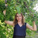  ,   , 43 ,     , c 