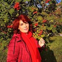  -,   , 54 ,   c 