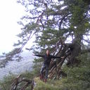 ���������� ������, ���� ������� Chernik, 43 ����, ������������ ��� ������