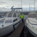 ���������� ������, ���� ������� �����, 38 ���, ������������ ��� ������, ����� � ���������, c�������� ���������, ���������