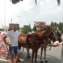 ���������� �����-���������, ���� ������� ������, 44 ����, ������������ ��� ������, ����� � ���������, c�������� ���������